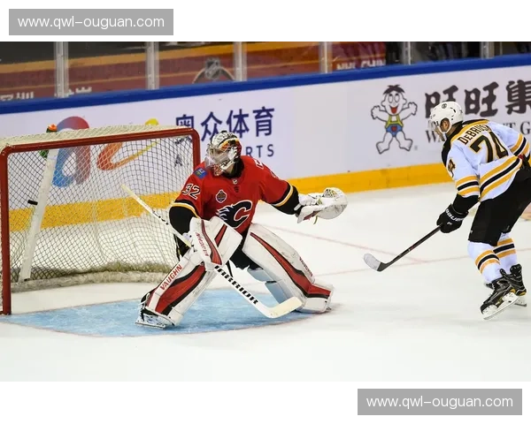 提升游戏体验,尽在NHLAPP——您的专属冰球之旅 提升游戏体验,尽在NHLAPP——您的专属冰球之旅